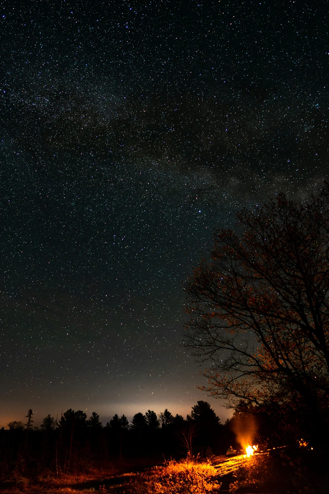 Twilight
